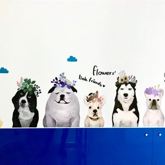 遛爷宠物会所:深圳市南山区蛇口附近