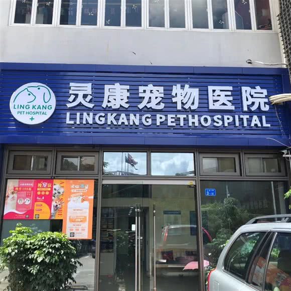 灵康宠物医院(太子路店):深圳市南山区蛇口附近