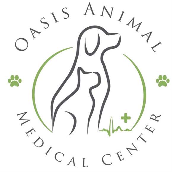 绿洲动物医疗中心:深圳市南山区蛇口附近