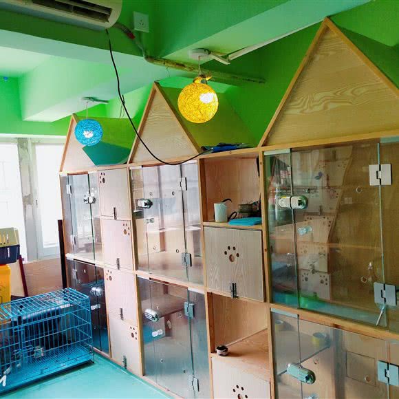 五洲宠物医院犬科＆猫科中心:深圳市南山区蛇口附近