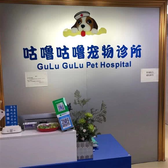 咕噜咕噜狗狗诊所:深圳市南山区南山中心区附近