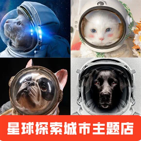 狗狗家PETEM POWER:深圳市南山区科技园附近