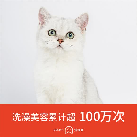 宠物家(阳光棕榈园店):深圳市南山区桃园附近