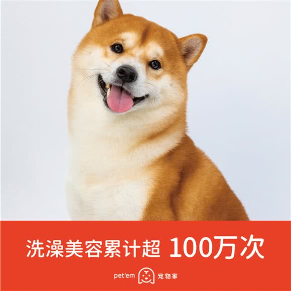 宠物家(花园城店):深圳市南山区南油附近