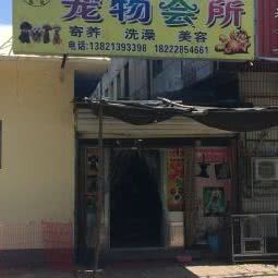 优优宠物会所:天津城区武清区武清区附近