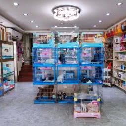 宠爱你们:深圳市南山区前海附近