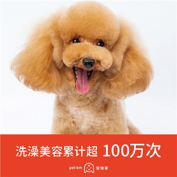 宠物家(前海荔湾店):深圳市南山区前海附近