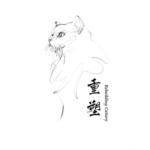 重塑猫舍Rebuilding Cattery:深圳市南山区前海附近