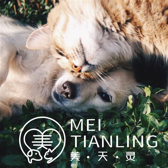 美天灵宠物(富力广场店):北京城区朝阳区双井附近