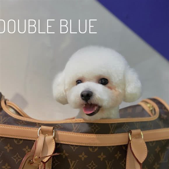 double blue日式美容宠物店:深圳市南山区西丽附近