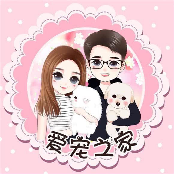 瘦瘦宠物馆(深职院店):深圳市南山区西丽附近