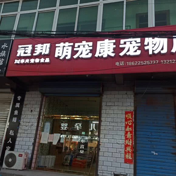 冠邦萌宠康宠物店:天津城区武清区武清区附近