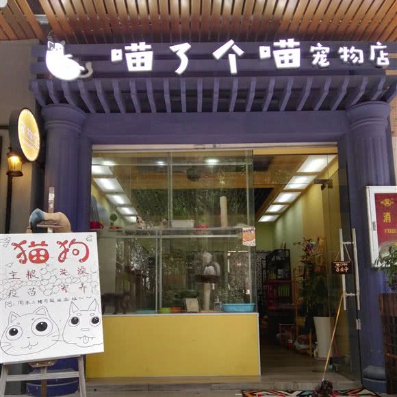 喵了个喵宠物店猫舍:深圳市南山区西丽附近