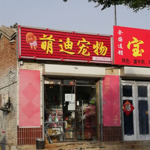 萌迪宠物:天津城区武清区武清区附近