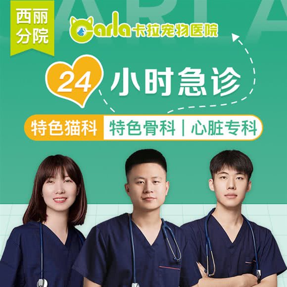卡拉宠物医院·猫科中心·口腔中心(西丽分院):深圳市南山区西丽附近