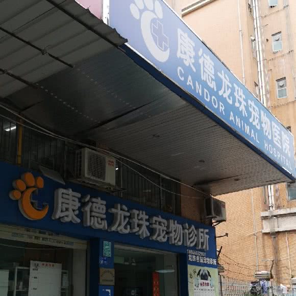 康德龙珠宠物医院:深圳市南山区西丽附近
