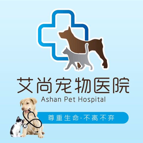 艾尚宠物医院(西丽分院店):深圳市南山区西丽附近