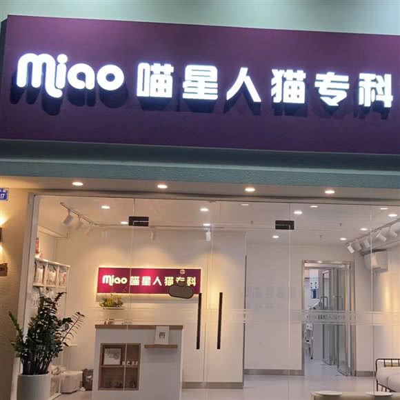 喵星人猫专科诊所:深圳市南山区西丽附近