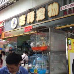 吉祥宠物:深圳市南山区南头附近