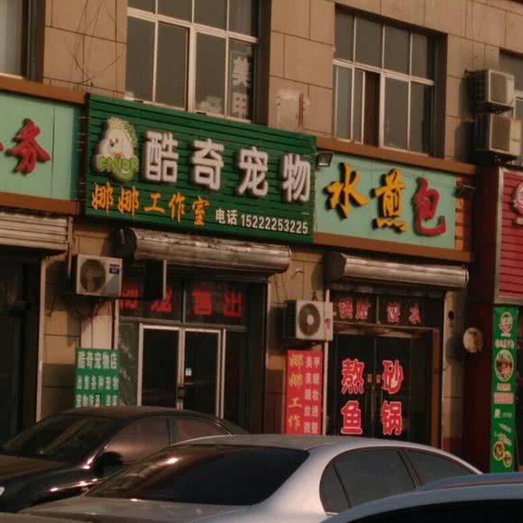 酷奇宠物:天津城区武清区武清区附近