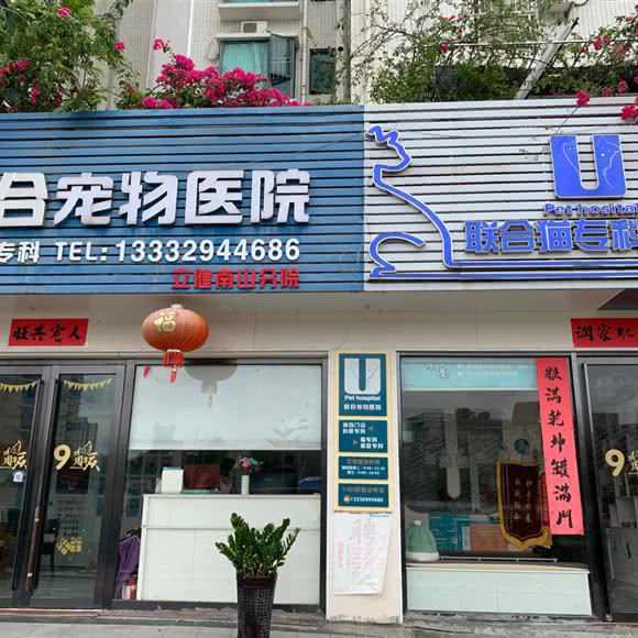 联合猫(立健南山分院):深圳市南山区南头附近