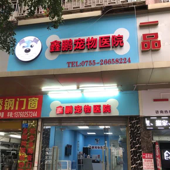 鑫鹏宠物医院:深圳市南山区白石洲附近