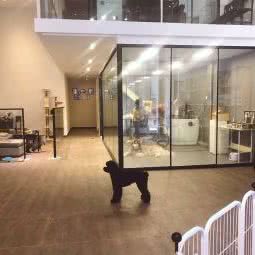 菲迪宠窝宠物店:深圳市南山区深圳湾附近