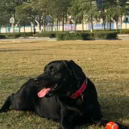 威威动物医院:深圳市宝安区海雅缤纷城附近