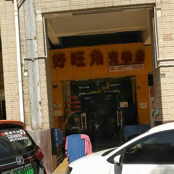 好望角宠物店:深圳市宝安区宝安中心区附近