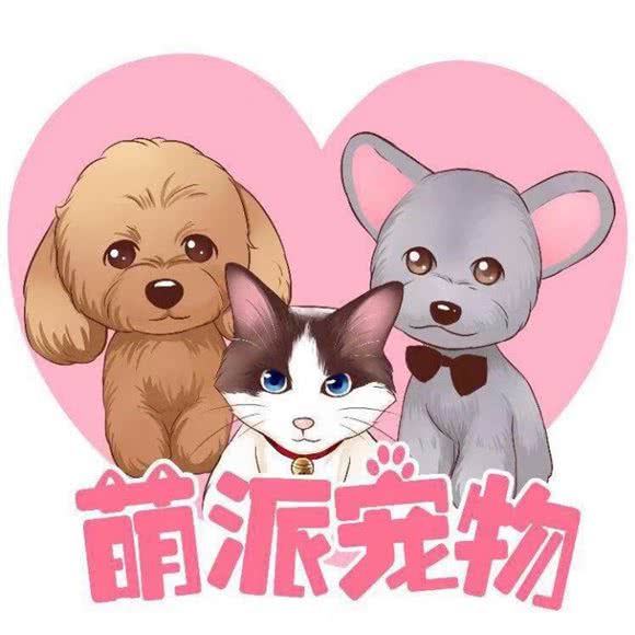 萌派宠物狗会所:深圳市宝安区宝安中心区附近