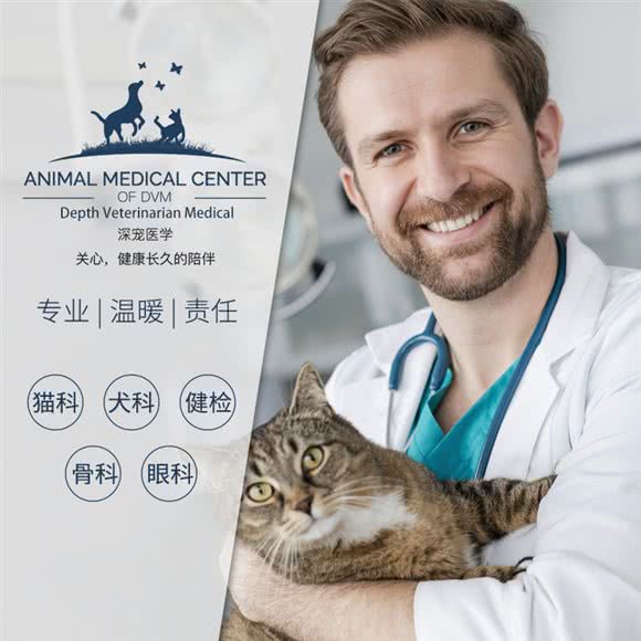 深宠医学动物医院:深圳市宝安区宝安中心区附近