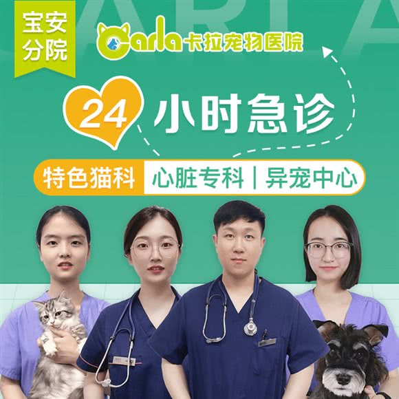 卡拉宠物医院·猫友好医院·影像中心(宝安中心店):深圳市宝安区宝安中心区附近