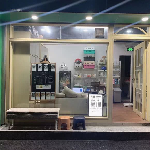 喵宁宠物工作室·猫咪寄养·猫咪购买:深圳市宝安区时代城附近