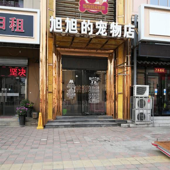旭旭宠物店:天津城区武清区武清区附近