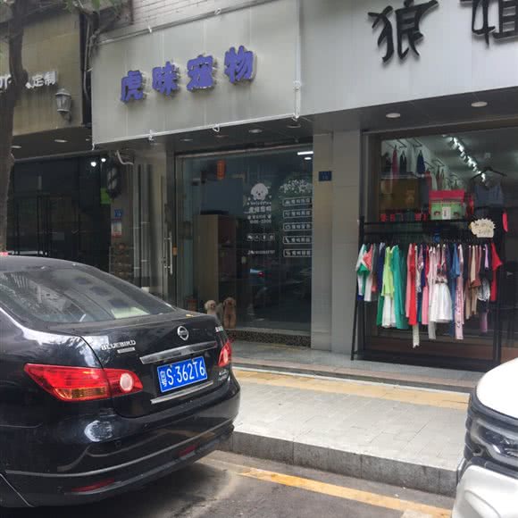 虎昧宠物:深圳市宝安区西乡附近