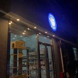 你老猫宠物店:深圳市宝安区西乡附近