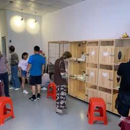 嘀嘟宠爱体验站:深圳市宝安区西乡附近