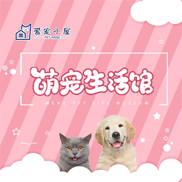 爱宠小屋宠物中心:深圳市宝安区西乡附近