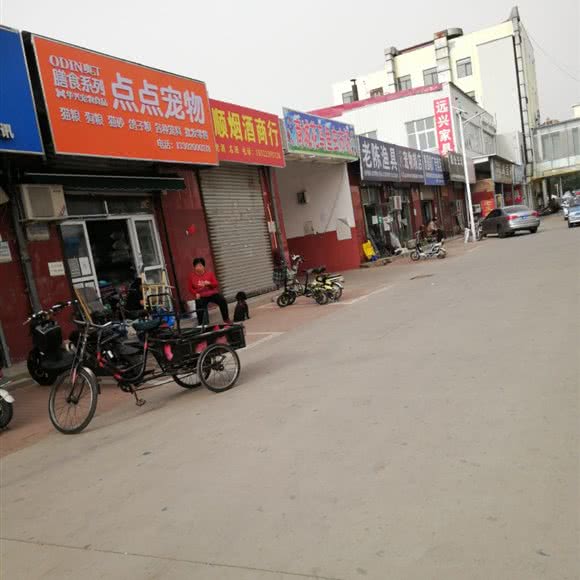 点点宠物:天津城区武清区武清区附近