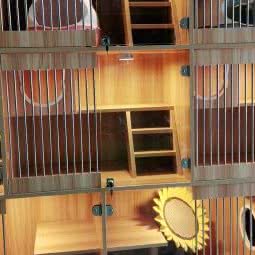 圣宠宠物店(深圳灵芝店):深圳市宝安区新安附近