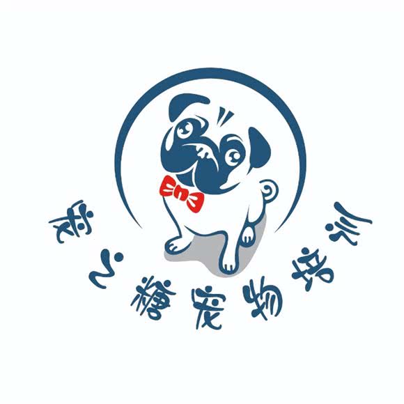 宠之糖宠物培训中心:深圳市宝安区新安附近