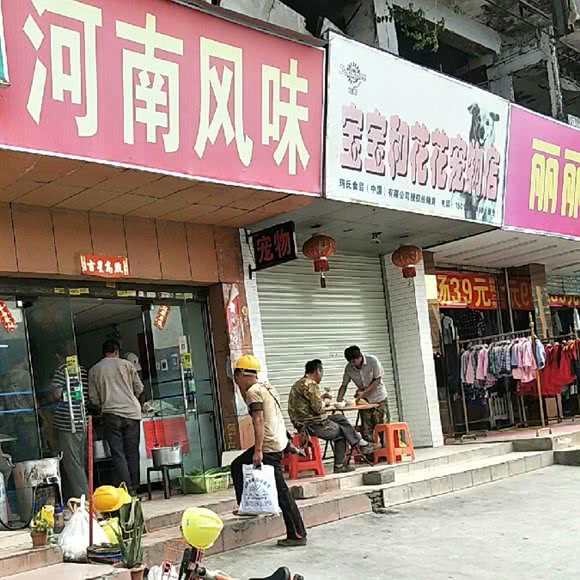 宝宝和花花宠物店:深圳市宝安区新安附近