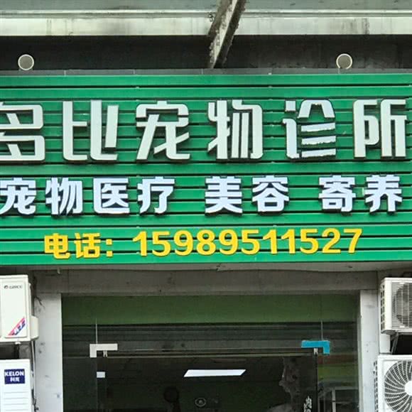 多比宠物诊所:深圳市宝安区新安附近