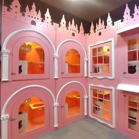 PET·宠悟:深圳市宝安区新安附近