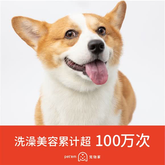 宠物家(宝体店):深圳市宝安区新安附近