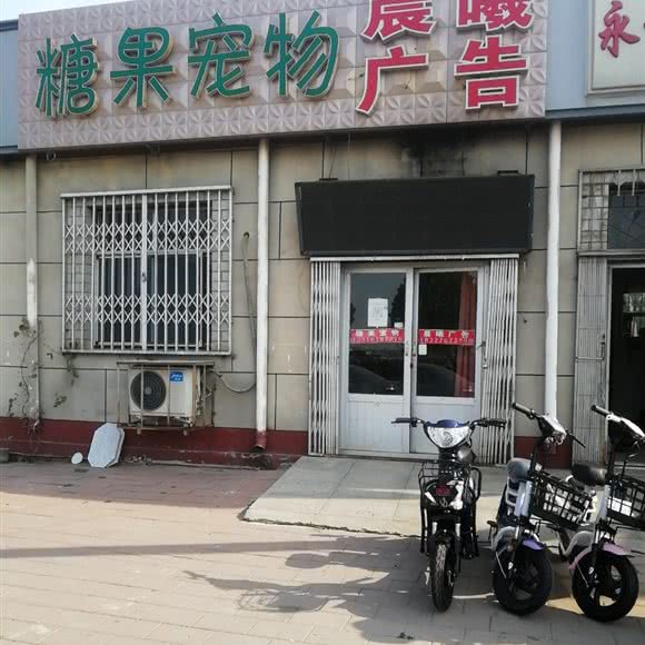 糖果宠物:天津城区武清区武清区附近