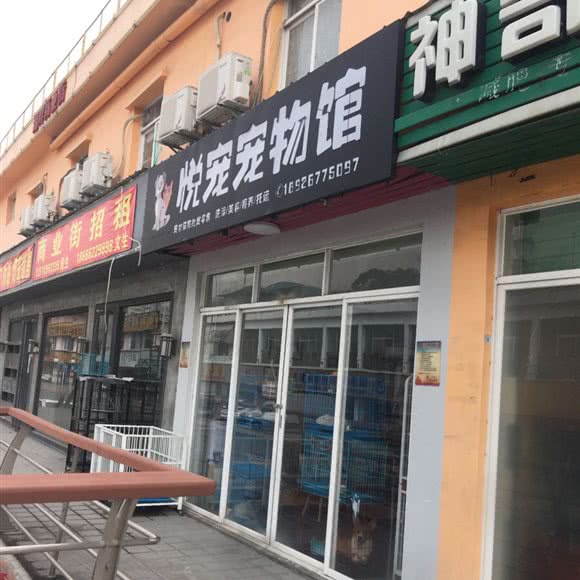 悦宠宠物馆:深圳市宝安区福永附近