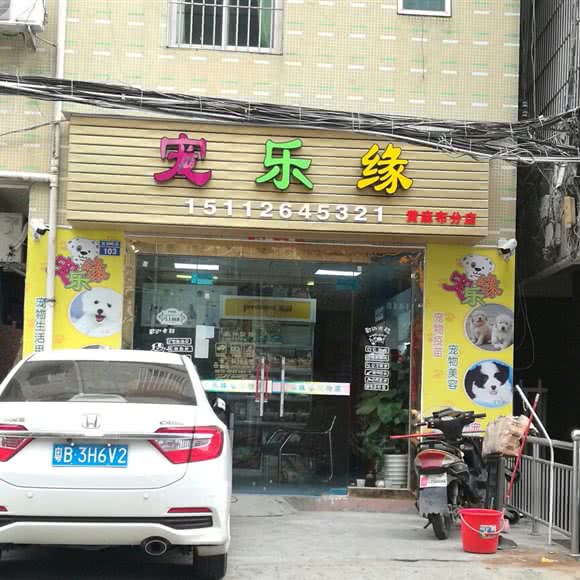 宠乐缘:深圳市宝安区福永附近