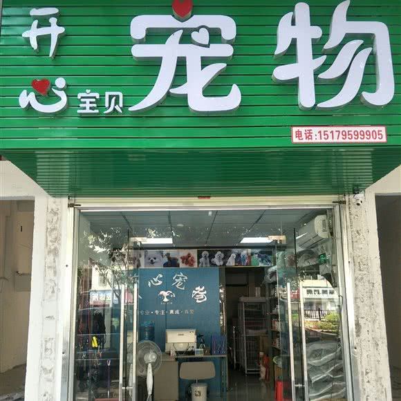 开心宝贝宠物:深圳市宝安区福永附近