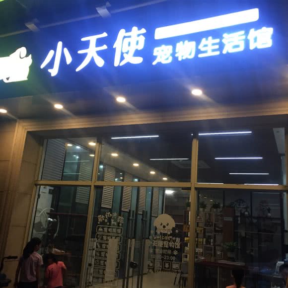 小天使狗狗生活馆:深圳市宝安区福永附近